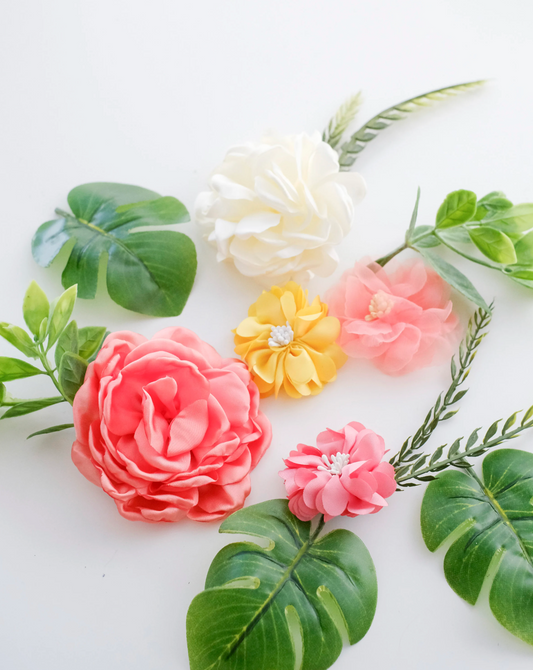 Tropical Monstera Luxe Pack